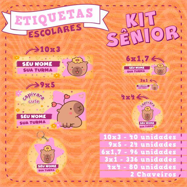 Kit Etiquetas Escolares Sênior