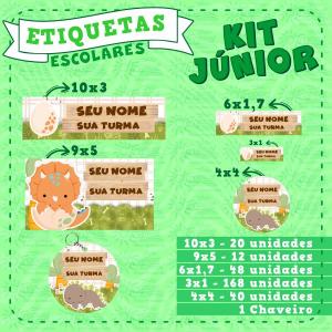 Kit Etiquetas Escolares Júnior Vinil a prova dágua Kit Junior Impressão só frente Brilho Recorte Especial Personalizamos no tema que desejar