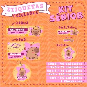 Kit Etiquetas Escolares Sênior Vinil a prova dágua Kit Senior Impressão só frente Brilho Recorte Especial Personalizamos no tema que desejar